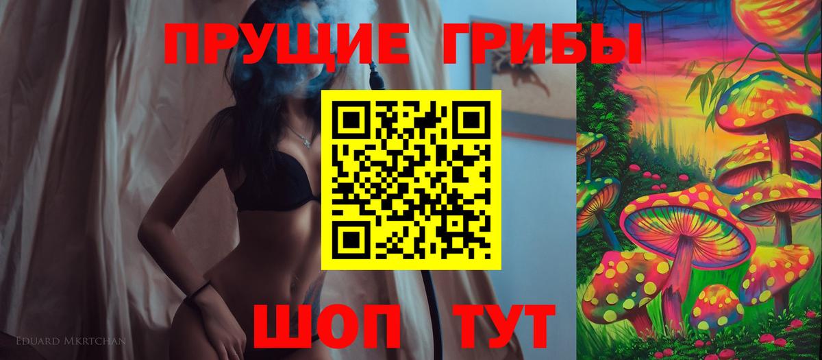Галлюциногенные грибы Cubensis Надым
